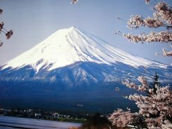 fuji_wugi.jpg