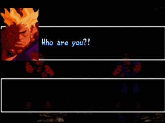 SFA2_Power_Made_Fleash_640x480.gif