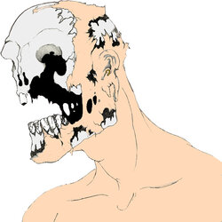 thodt.jpg