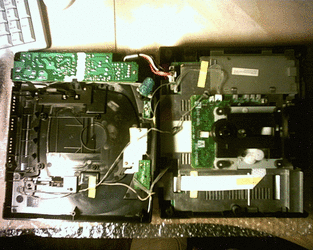 PHTO0004.gif