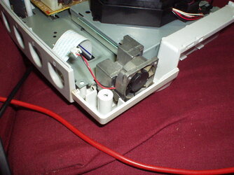P4130003.JPG