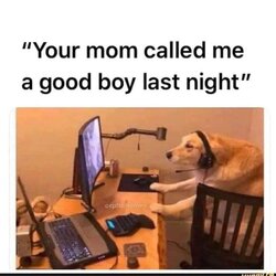 344102377600568701018_n.jpg