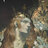 Beorn